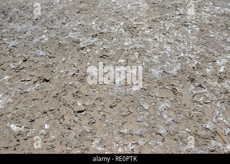 Arrière-plan de terre sèche. Sentier du sel dans la région de Death Valley National Park, California, USA Banque D'Images