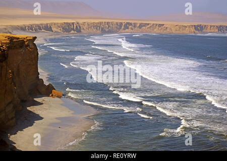 La Réserve nationale de Paracas, où le désert rencontre l'Océan, Région de l'Ica du Pérou, Amérique du Sud Banque D'Images