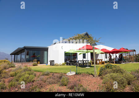 Nuy Restaurant sur la Colline et Winery entre Worcester et Robertson, Breede River Valley, Western Cape Winelands, Afrique du Sud Banque D'Images