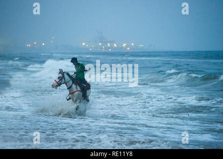 L'équitation sur Marina Beach à Chennai, Inde, avec le clapotis des vagues les pattes du cheval et une installation industrielle dans l'arrière-plan Banque D'Images