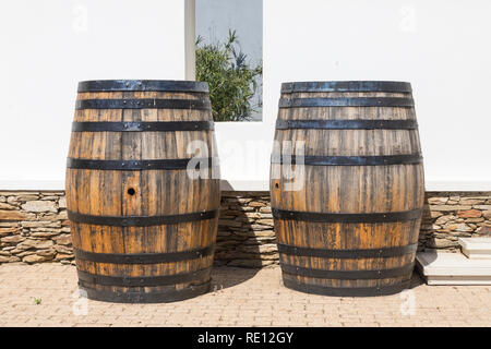 Deux vieux chêne des tonneaux de vin dans les caves avant f, van Loveren Wine Estate , Breede River Valley, Robertson, Western Cape, Afrique du Sud Banque D'Images