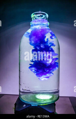 Art shot d'un vase transparent avec une plante à l'eau claire et l'encre bleue en studio avec éclairage Banque D'Images