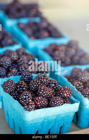 Les mûres pour la vente au marché de fermiers Banque D'Images