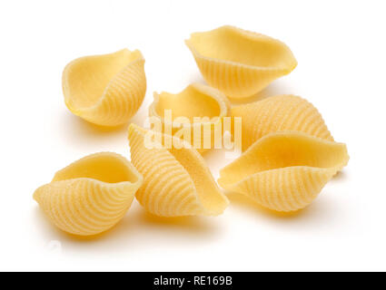 Conchiglie rigate pâtes isolé sur fond blanc Banque D'Images