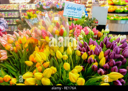 Fleurs de tulipe en plastique en vente chez boutique touristique à l'aéroport d'Amsterdam-Schiphol. Banque D'Images