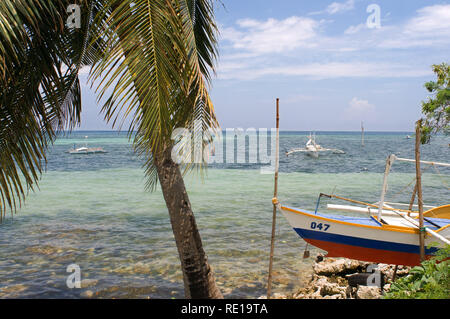 Les célèbres bateaux appelés Philippine Bankas la voile. Peyrouse. Bohol. Bateaux le long de la plage d'Alona, l'île de Panglao, Bohol, Philippines, Asie du Sud, Asie Banque D'Images