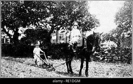 . Des étapes de jardin ; un manuel pour l'amateur dans la culture maraîchère. La culture maraîchère. Méthodes de plantation d'ASPERGES 49 fertilisation. - Les méthodes de la plantation recom- mandé anciennement par tous, et toujours, requis par la plupart des auteurs sur ce sujet ont été coûteux tant en vinaigrette et en travail. Une étude détaillée de l'usine comme- paragus et ses habitudes alimentaires montre qu'une grande partie de ce travail et de l'engrais a probablement été perdu.. Les asperges doivent être hersée et fécondé quand les fraises sont mûres. Pas plus les asperges doivent être coupés après cela. La méthode a été d'usage de creuser des tranchées profondes, même en ce qui concerne Banque D'Images