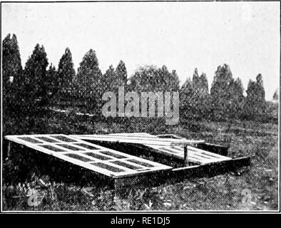 . Des étapes de jardin ; un manuel pour l'amateur dans la culture maraîchère. Jardinage légumes. i6 DES ÉTAPES DE JARDIN De la même saison. Début de pois, pommes de terre, et d'autres cultures qui mûrissent par le milieu de juillet, peut être suivi par des haricots, des choux, des cauhflower la fin, la fin de maïs, le céleri, et d'autres plantes, en particulier celles qui peuvent être établies. Le maïs doux ne mûrissent bien. Châssis froid, witk Co'ER a soulevé, à l'ir /et durcir les plantes à être fixés au sommet de ce châssis froid est faite de trois doubles fenêtres. Elle n'eux aucun mal s'ils sont mis en place côté putty. la courroie tempérées si planté au plus tard à la quatrième de Banque D'Images