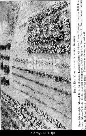 . Des étapes de jardin ; un manuel pour l'amateur dans la culture maraîchère. Jardinage légumes. g ^ -c nous. 10. Veuillez noter que ces images sont extraites de la page numérisée des images qui peuvent avoir été retouchées numériquement pour plus de lisibilité - coloration et l'aspect de ces illustrations ne peut pas parfaitement ressembler à l'œuvre originale.. Cobb, Ernest, 1877-1964. Boston, New York [etc. ] L'argent, Burdett et compagnie Banque D'Images