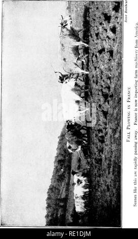 . Des étapes de jardin ; un manuel pour l'amateur dans la culture maraîchère. La culture maraîchère. . Veuillez noter que ces images sont extraites de la page numérisée des images qui peuvent avoir été retouchées numériquement pour plus de lisibilité - coloration et l'aspect de ces illustrations ne peut pas parfaitement ressembler à l'œuvre originale.. Cobb, Ernest, 1877-1964. Boston, New York [etc. ] L'argent, Burdett et compagnie Banque D'Images