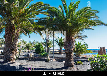 Plage de sable doré de Las Cucharas, Lanzarote, îles Canaries. Vue sur la mer, côte, palmiers, selective focus Banque D'Images