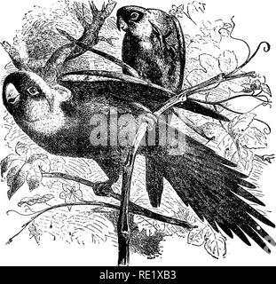 Au Sud De La Riviere Platte Dans L Est Du Colorado Coucher De Soleil Paysage A La Fin De L Hiver Ou Au Debut Du Printemps Photo Stock Alamy