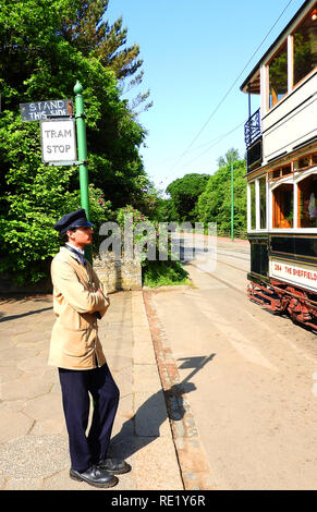 Un arrêt de tramway et de garde /pilote avec un tramway restauré Sheffield Corporation en service à Beamish, Durham, Angleterre Banque D'Images