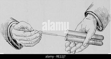 . Bactériologie pharmaceutique, avec référence spéciale à la désinfection et la stérilisation. La bactériologie. 54 BACTÉRIOLOGIE PHARMACEUTIQUE. peut être, il y a toujours un type prédominant présents, ou, pour le dire plus exactement, c'est le développement de l'inhabituelle type prédominant qui détermine les caractéristiques de l'infection. Il doit également garder à l'esprit que les bactéries se comportent différemment lorsqu'ils sont pris hors de leur environnement naturel et placés dans des milieux de culture artificiels. Il ne signifie pas du tout que, dans le cas d'une infection mixte, l'predominat- tion et de diagnostic w microbe Banque D'Images