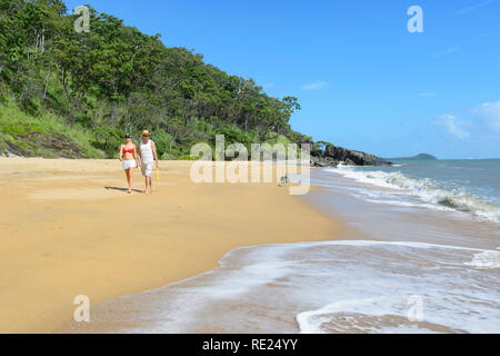 Un chien en train de marcher sur la plage, Trinity Beach, Cairns Plages du Nord, Extrême Nord du Queensland, Queensland, Australie, FNQ Banque D'Images