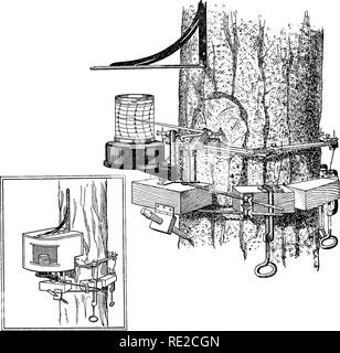 . La croissance des arbres. (Croissance des plantes) ; des arbres. La croissance de 10 arbres. La deuxième et préférable sous forme de base peut être décrit dans une phrase comme une ceinture de blocs de bois ensemble articulé. Et assaisonné de blocs mazoutés (Sequoia sempervirens), 15 par 7 par 7 cm., étaient liés ensemble dans une courroie en paires de bandes galvanisées de u'on. Petites vis qui passe à travers les extrémités de ces bandes et à travers les trous à proximité. Fig. 1.-Forme antérieure de dendrograph avec lequel tous les enregistrements antérieurs à septembre 1920 ont été faites. Cet instrument prend un roulement d'une zone préparée sur l'écorce de l'arbre par une extrémité d'un petit levier Banque D'Images