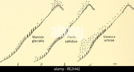 . Géographie animale écologique ; une édition autorisée, réécrite en fonction de Tiergeographie ockologischer auf Grundlage. Zoogéographie -- distribution géographique ; l'écologie animale. 496 animaux de terre des diapositives, de véritables rivières de rock, s'étendre jusqu'à des milliers de pieds dans les zones arides des Andes chiliennes, alimenté par l'éclatement rock au plus haut niveau. Rock-peuplant les animaux sont ainsi favorisés, dans la mesure où elles ne sont pas adaptables aux conditions alpines. Les oiseaux qui nichent dans des situations de rocky, tels que les oiseaux de proie, et les martinets, sont abondants. Les oiseaux d'escalade, à l'exception du mur vierge, Tichodrom Banque D'Images