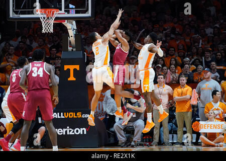 New York, USA. 19 janvier 2019 : Grant Williams # 2 et l'amiral Schofield # 5 de l'Iowa bénévoles se défendre contre la tentative de coup d'Ingram Dazon # 12 de l'Alabama Crimson Tide au cours de la jeu de basket-ball de NCAA entre les bénévoles de l'Université du Tennessee et de l'Université de l'Alabama Crimson Tide à Thompson Boling Arena de Knoxville TN Tim Gangloff/CSM Crédit : Cal Sport Media/Alamy Live News Banque D'Images