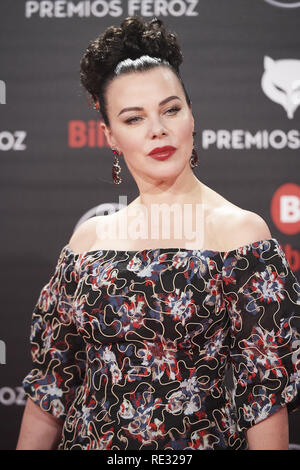 L'Espagne. 19 Jan, 2019. Debi Mazar assiste à la remise des Prix 2019 Taib à Bilbao Arena le 19 janvier 2019 en Espagne Crédit : Jack Abuin/ZUMA/Alamy Fil Live News Banque D'Images