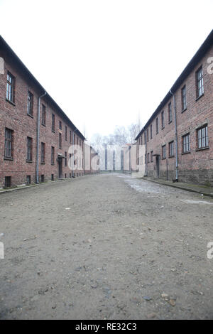 Oswiecim, Pologne. 27 Jan, 2018. Bâtiment dans le camp de concentration d'Auschwitz. Le 27 janvier 1945, le camp de concentration Auschwitz-Birkenau fut libéré par l'Armée rouge soviétique. Chaque année à la date anniversaire de la libération survivants viennent à commémorer les morts et de ne pas laisser les atrocités tombe dans l'oubli. Crédit : Daniel Schäfer/dpa-Zentralbild/dpa/Alamy Live News Banque D'Images