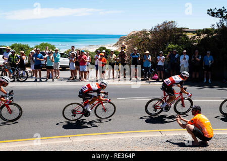 Adélaïde, Australie du Sud, Australie. 20 Jan, 2019. Richie Porte, (centre), de l'équipe Trek Segafredo, stade 6 du Tour Down Under, en Australie le 20 janvier 2019 Credit : Gary Francis/ZUMA/Alamy Fil Live News Banque D'Images