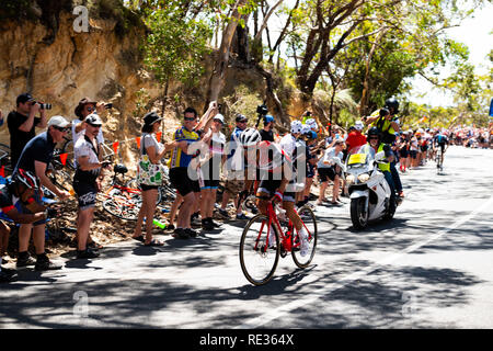 Adélaïde, Australie du Sud, Australie. 20 Jan, 2019. Richie porte, de l'équipe Trek Segafredo, en tête à 250 mètres de la finale, l'étape 6 du Tour Down Under, en Australie le 20 janvier 2019 Credit : Gary Francis/ZUMA/Alamy Fil Live News Banque D'Images