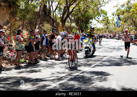 Adélaïde, Australie du Sud, Australie. 20 Jan, 2019. Richie porte, de l'équipe Trek Segafredo, en tête à 250 mètres de la finale, l'étape 6 du Tour Down Under, en Australie le 20 janvier 2019 Credit : Gary Francis/ZUMA/Alamy Fil Live News Banque D'Images