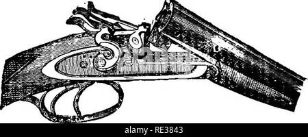 . Champ, couvrir, et le tir au pigeon. Les tireurs qualifiés pour faire place au conseils pratiques ; les directives pour les jeunes sportifs et les habitudes de hante ; gibier ; vol et resorts de poules d'eau ; et la rupture de l'élevage des chiens. La prise de vue ; les chiens. Ces armes sont prononcées par chaque concessionnaire et sports- homme qui a traité qu'il a fini le plus fin et le plus proche et le plus fort -prise de vue sur le marché des armes à feu. Les canons sont de belle finition et de modèle, et les verrous et les fixations de la meilleure qualité. À vendre par tous les marchands d'armes de première classe à nos prix : 100,00 $ Action rapide face à $110.00 Haut, Double Action rapide Banque D'Images