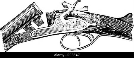 . Champ, couvrir, et le tir au pigeon. Les tireurs qualifiés pour faire place au conseils pratiques ; les directives pour les jeunes sportifs et les habitudes de hante ; gibier ; vol et resorts de poules d'eau ; et la rupture de l'élevage des chiens. La prise de vue ; les chiens. SCHOVERLING &AMP ; DALY, 84 &AMP ; CHAMBRE 86 Street, NEW YORK, FABRICANTS DE LA Charles DALY BEEECH-CHARGEMENT D'ARMES À FEU.. Ces armes sont prononcées par chaque concessionnaire et sports- homme qui a traité qu'il a fini le plus fin et le plus proche et le plus fort -prise de vue sur le marché des armes à feu. Les canons sont de belle finition et de modèle, et les verrous et les fixations de la meilleure qualité. Fo Banque D'Images