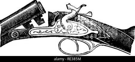 . Champ, couvrir, et le tir au pigeon. Les tireurs qualifiés pour faire place au conseils pratiques ; les directives pour les jeunes sportifs et les habitudes de hante ; gibier ; vol et resorts de poules d'eau ; et la rupture de l'élevage des chiens. La prise de vue ; les chiens. BARTON, ALEXANDER, &AMP ; Waller, 101 et 103 Duane Street, New York, "les importateurs et négociants en Culasse et Muzzle-Loading les armes à feu de l'AAS. Les meilleurs fabricants. KIFLES, pistolets, des munitions, et les sportifs de tous les biens du Kincb. Attirail de pêche de EVEET VARIÉTÉ. Les hameçons, des tiges, des moulinets, des lignes, &lt;5rv. Les mouches artificielles et appâts sur la main, et fait sur commande. Plus belle qualité bambou fendu FLY R Banque D'Images