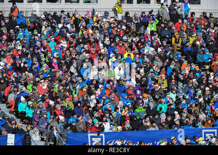 KILLINGTON, USA - Le 24 novembre : une vue générale au cours de l'AUDI FIS Coupe du Monde de Ski le slalom géant féminin le 24 novembre 2018 à Killington USA. Banque D'Images