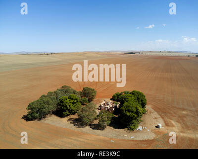 Vue aérienne d'une maison isolée entourée d'arbres au milieu de vastes champs agricoles Banque D'Images