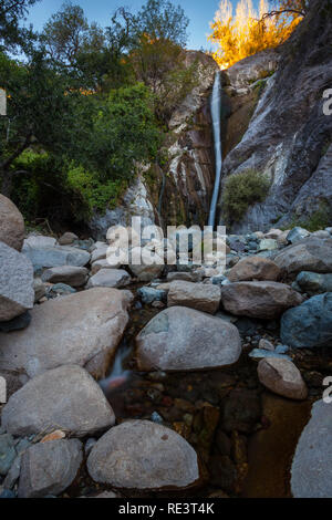 Fillmore Canyon, Dona Ana County, Nouveau Mexique, USA Banque D'Images