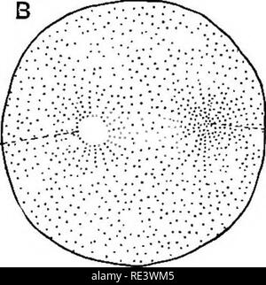 . Un texte-livre de physiologie animale, avec des chapitres d'introduction sur la biologie générale et un traitement complet de la reproduction ... La Physiologie, comparatif. . Veuillez noter que ces images sont extraites de la page numérisée des images qui peuvent avoir été retouchées numériquement pour plus de lisibilité - coloration et l'aspect de ces illustrations ne peut pas parfaitement ressembler à l'œuvre originale.. Mills, Wesley, 1847-1915. New York, D. Appleton Banque D'Images