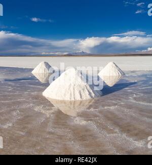 Cônes de sel, le Salar de Uyuni, Potosi, Bolivie, Amérique du Sud Banque D'Images