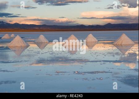 Cônes de sel, le Salar de Uyuni au coucher du soleil, Potosi, Bolivie, Amérique du Sud Banque D'Images