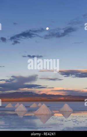 Cônes de sel, le Salar de Uyuni au coucher du soleil, Potosi, Bolivie, Amérique du Sud Banque D'Images