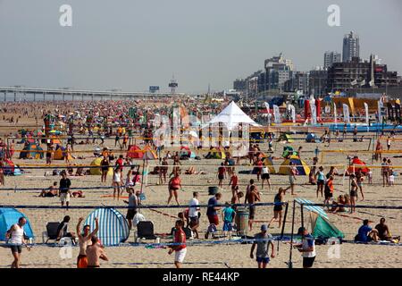 Haute saison sur la plage de Scheveningen, beach district de La Haye, la plus grande station balnéaire des Pays-Bas, Europe Banque D'Images