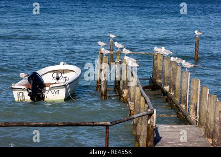 Pier, village de pêcheurs Vitt au Cap Arkona, Ruegen island, Mecklembourg-Poméranie-Occidentale Banque D'Images