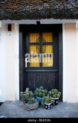 Cactus devant une porte, village de pêcheurs Vitt au Cap Arkona, Ruegen island, Mecklembourg-Poméranie-Occidentale Banque D'Images