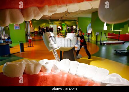 Haus der natur musée, les grandes dents et d'un modèle du dentiste dans le ministère de la technologie, Salzburg, Autriche, Europe Banque D'Images