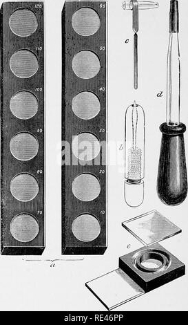 . L'hématologie et de bactériologie clinique pour les praticiens. Bactériologie, Hématologie. 178 l'hématologie et de bactériologie clinique-couvercle verre ; cela ne doit pas inclure toute l'air sous elle, et ne cause aucun des sang dilué de couler dans les douves autour de la cellule.. Fig. 43.-H^moglobinomeier d'Oliver. Le spécimen est maintenant prêt pour la comparaison avec les normes. C'est à prendre dans une pièce sombre et examiné par la lumière de. Veuillez noter que ces images sont extraites de la page numérisée des images qui peuvent avoir été retouchées numériquement pour plus de lisibilité - coloration et l'aspect de ces illustrations ne peut pas par Banque D'Images