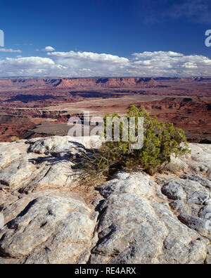 USA, Utah, Canyonlands National Park, érodés canyons de la rivière Colorado, vue sud-est de Buck Canyon Overlook, District de l'île dans le ciel. Banque D'Images