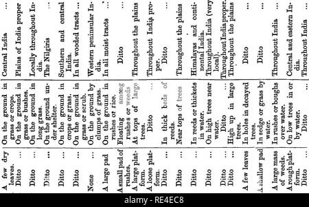 . Nidification des oiseaux de l'Inde. Un calendrier des saisons de reproduction, et un guide populaire aux habitudes et d'oiseaux hante. Les oiseaux ; les oiseaux. s fi =sp â i h .3 &AMP ; a i IX) I- O -3 fM .^ ^^ 1 ft je ri W ^ â¢a , =1 J 1 H o *ri Â§ * .3 i g. 4 I .1 â s g a â¢-3 je OS a 02 Â§ /i ti 1* -§ 13 .d S ^ ^ M fl 11 ,S Â" H B w sn ^ H ,d B PI ;3 B I B B .d B g b g =J ; o ,-4 &lt;N C3 OI OI OS 0305. Veuillez noter que ces images sont extraites de la page numérisée des images qui peuvent avoir été retouchées numériquement pour plus de lisibilité - coloration et l'aspect de ces illustrations ne peut pas parfaitement ressembler à l'œuvre originale.. Ma Banque D'Images