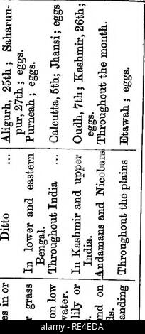 . Nidification des oiseaux de l'Inde. Un calendrier des saisons de reproduction, et un guide populaire aux habitudes et d'oiseaux hante. Les oiseaux ; les oiseaux. 160, juillet. M un fichier .s â â 3  +3 43 53 -^^l G R di â¢$ o CO   !Â ¢ -fl 5 ^ B, 300 252-2 .-S .-a .-a .-S Q -3 A M J 9 J 1 1|| w 2 fe'So fi Rfi â un I ft n. Â" . ^ C&amp ; ROf O Sh 00 Ph O ^^ -( fl dans Je suis JH 00 â ¢ rH 0) 01 -P ^ J O O O O gRRRRi ^â â Q : ! '&Lt;1 fl Fl 2s 2 R t2 sapin -un ^. Veuillez noter que ces images sont extraites de la page numérisée des images qui peuvent avoir été retouchées numériquement pour plus de lisibilité - coloration et l'aspect de ces illustrations ne peut pas parfaitement Banque D'Images
