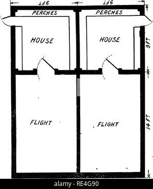 . La pratique du livre de plumes de pigeon. Les pigeons. SIMPLE PLAN DE MAISON continue la conception illustré est très simple, et en même temps un très bon à suivre. L'illustration montre deux maisons, mais pour ceux qui désirent plus de deux, ce n'est qu'ijecessary à poursuivre l'vmtil plan comme le montre le nombre requis sont construites. Les détails généraux de construction que pour les autres maisons s'appliquera également aux ce, sauf que, lorsqu'un grand nombre sont à construire dans une rangée, il serait nécessaire d'avoir des portes entre chaque partition, ou à un passage en marche arrière toute la longueur de bui Banque D'Images