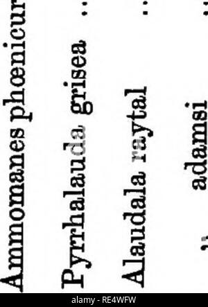 . Nidification des oiseaux de l'Inde. Un calendrier des saisons de reproduction, et un guide populaire aux habitudes et d'oiseaux hante. Les oiseaux ; les oiseaux. Â 3 afl ^ il-i-d^ » un â€PJ S t. Un^ Â£ 3 S55;g -fi n a t i a. ':J B Â Â Â 1§1 juge : J 131 ^ ^ J 1 tS'AI ^ ^ 'S so â¢i fc.l&gt ; t&gt ; j&gt ; -un EH 60 un â¢s a g .^^-s "un t^^ ou "b â t- 00 ^ o rH 00. Veuillez noter que ces images sont extraites de la page numérisée des images qui peuvent avoir été retouchées numériquement pour plus de lisibilité - coloration et l'aspect de ces illustrations ne peut pas parfaitement ressembler à l'œuvre originale.. Marshall, G. F. L. (George Frederick Banque D'Images
