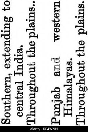 . Nidification des oiseaux de l'Inde. Un calendrier des saisons de reproduction, et un guide populaire aux habitudes et d'oiseaux hante. Les oiseaux ; les oiseaux. g P |zi Q J'Izi. Veuillez noter que ces images sont extraites de la page numérisée des images qui peuvent avoir été retouchées numériquement pour plus de lisibilité - coloration et l'aspect de ces illustrations ne peut pas parfaitement ressembler à l'œuvre originale.. Marshall, G. F. L. (George Frederick Leycester), 1843-1934. Appuyez sur le centre de Calcutta Calcutta, Co. Banque D'Images