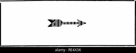 . Les manchots de l'Antarctique ; une étude de leurs habitudes sociales. Les pingouins. La Vie de groupe, et à l'arrêt. Dans l'éclair d'un instant l'ensemble de la bande à partir de laquelle il est exécuté le mouvement de virage à gauche "," ce les mettre tous dans une position face à lui. Si bien ordonné est le mouvement que l'on pouvait à peine croire nos yeux. Puis, à partir de la petite bande notre seul oiseau avait approché, un autre oiseau seul a manqué, sur laquelle son parti a fait exactement ce que le premier avait fait, de sorte que les deux bandes se maintenant. La flèche représente le sens dans lequel tous les oiseaux rencontrés l'un l'autre, une quinzaine de mètres apa Banque D'Images