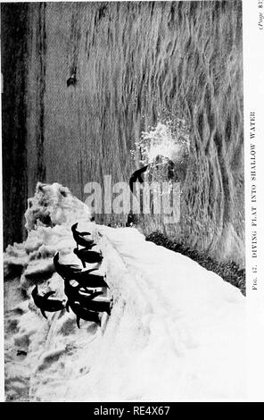 . Les manchots de l'Antarctique ; une étude de leurs habitudes sociales. Les pingouins. . Veuillez noter que ces images sont extraites de la page numérisée des images qui peuvent avoir été retouchées numériquement pour plus de lisibilité - coloration et l'aspect de ces illustrations ne peut pas parfaitement ressembler à l'œuvre originale.. Levick, George Murray, 1876-. London, William Heinemann Banque D'Images